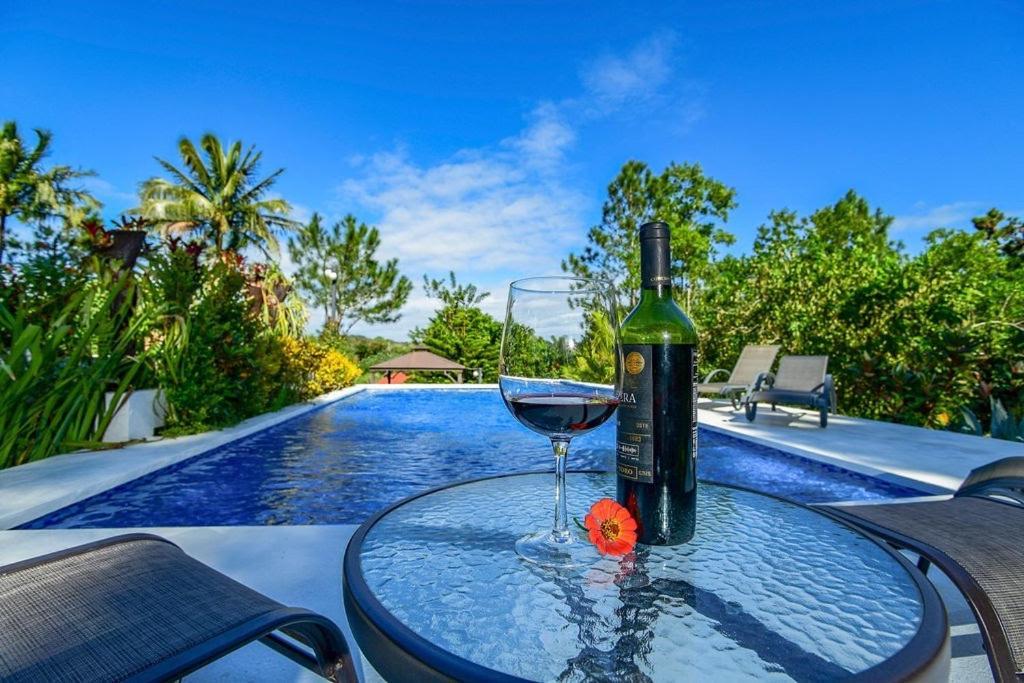Villa Haus Unter Palmen Jarabacoa Exterior foto